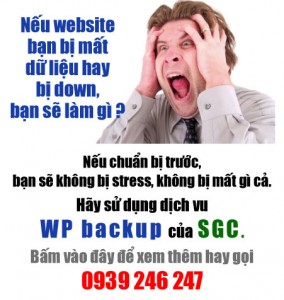 Bảo hiểm cho website của bạn với dịch vụ WP backup Bao hiem cho website cua ban voi dich vu WP backup