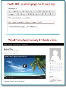 embedded-video Nhúng video vào WordPress